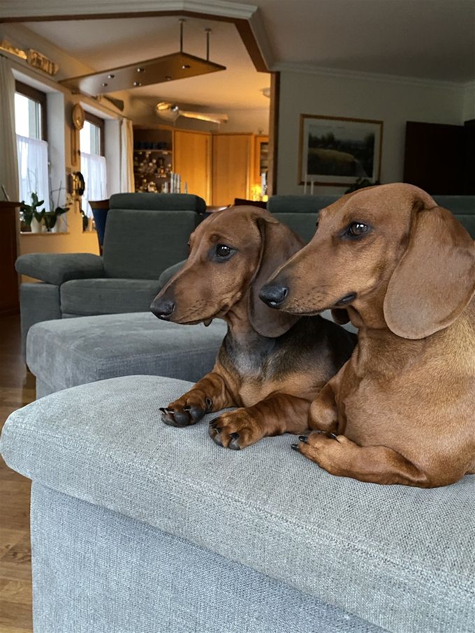 Zora und Anika sitzen auf Ihrem Indoor-Beobachtungsplatz      31.08.20